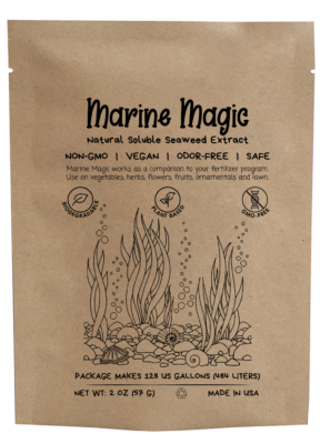 Marine Magic Kelp Concentrate Fertilizer