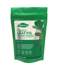 Fiddle leaf fig plant food