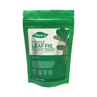 Fiddle leaf fig plant food